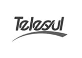 Telesul