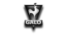 Galo